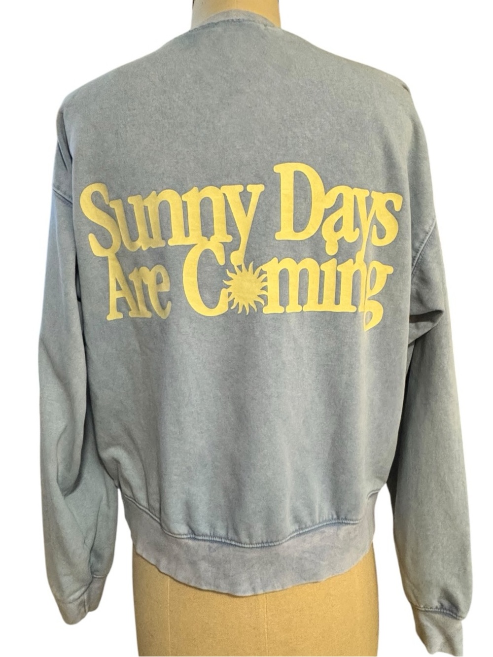 The Mayfair Group Sunny Days Are Coming Blue Henley Sweatshirt S/M
